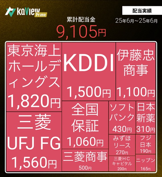 2025年6月配当金実績